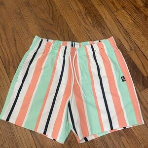 Hollister Green and Pink Swim Trunks with Vertical Stripes
